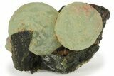 Botryoidal Prehnite and Epidote - Mali #219520-1